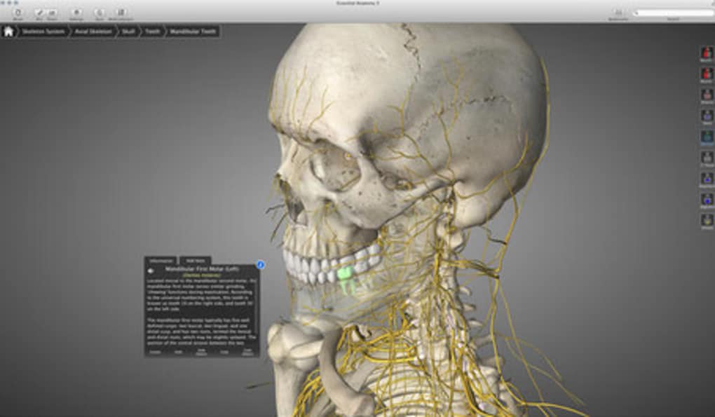 Essential anatomy 5 for android
